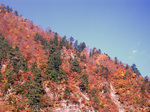 hakusan3.jpg